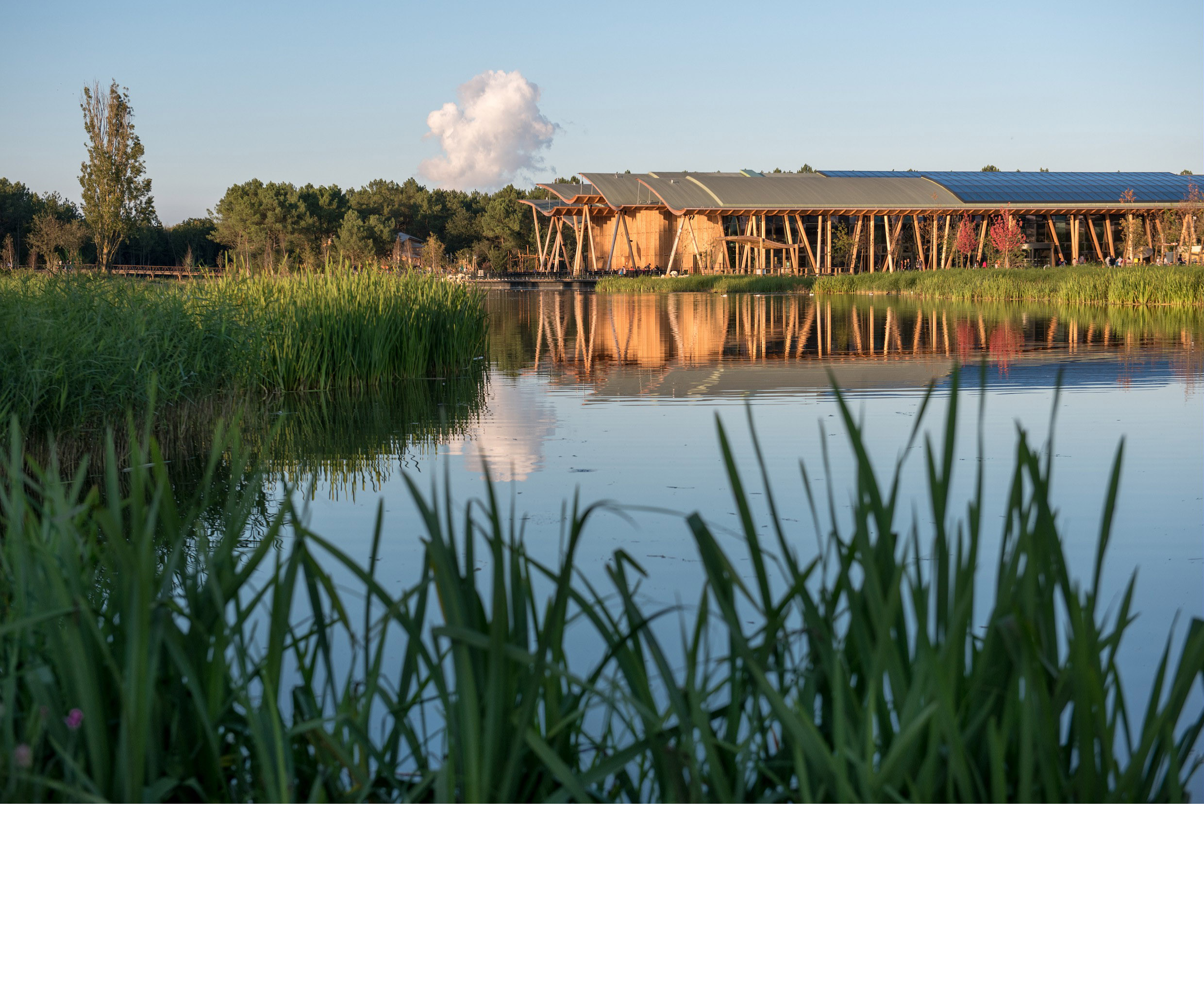 Center Parcs Bois aux Daims