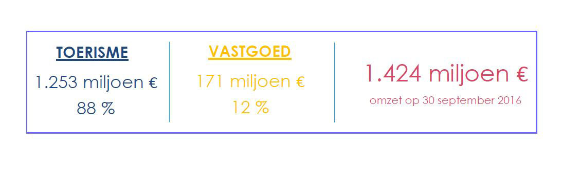 Financiële structuur