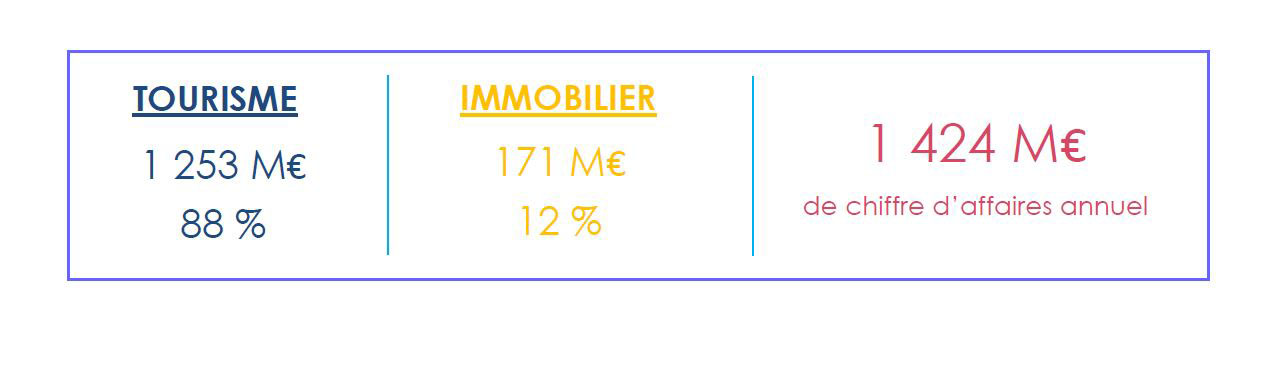 Chiffre d'affaires annuel